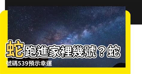 蛇跑進家裡幾號|【蛇跑進家裡代表什麼】蛇跑進家裡！別緊張！看懂風。